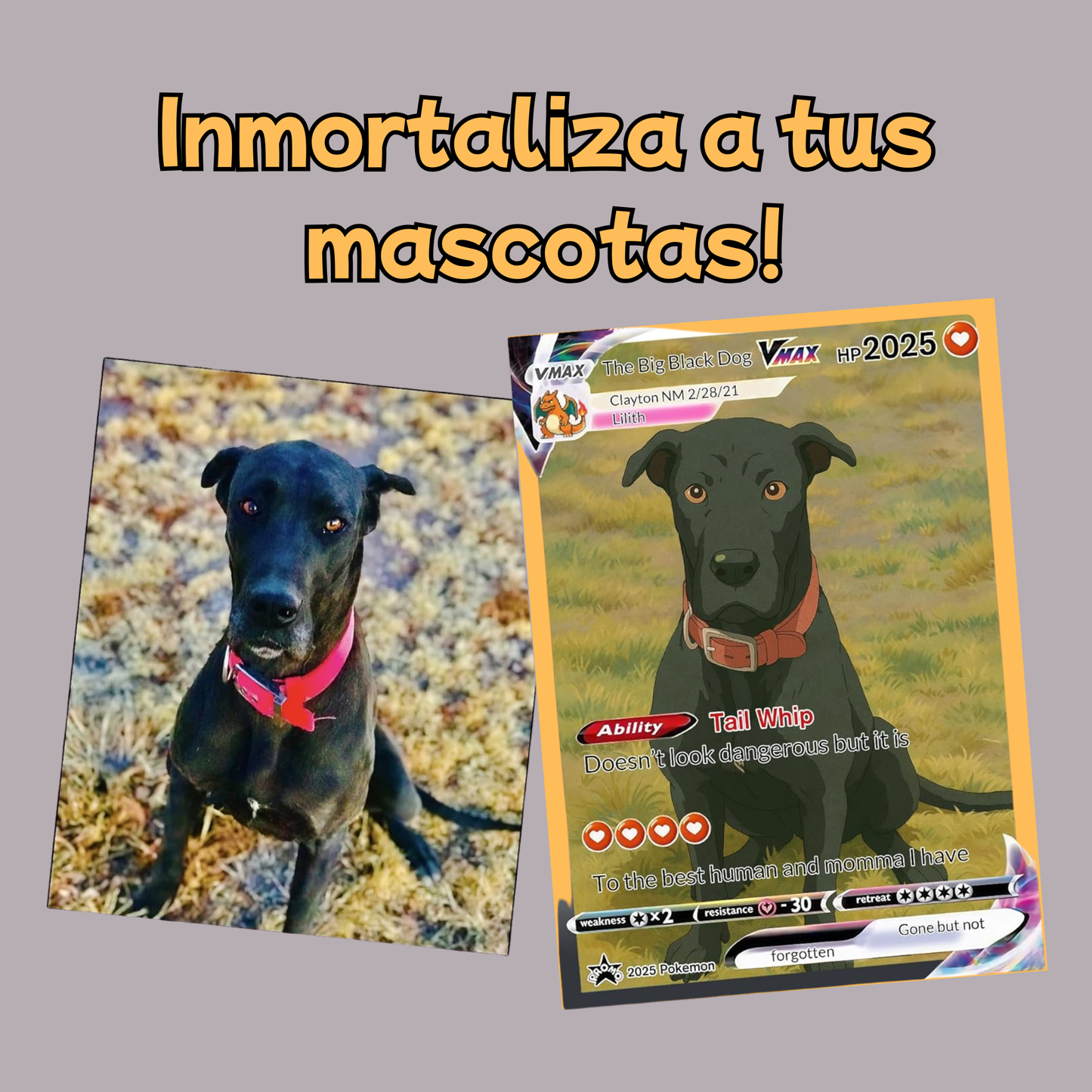 MyPokard Carta Personalizable